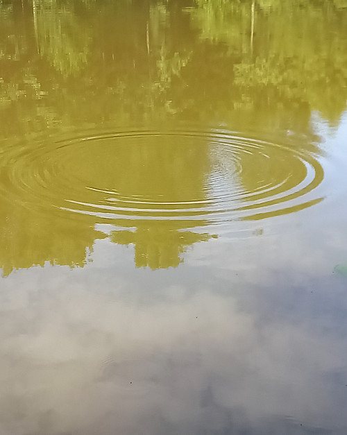 „Alles, was wir tun, zieht Kreise“